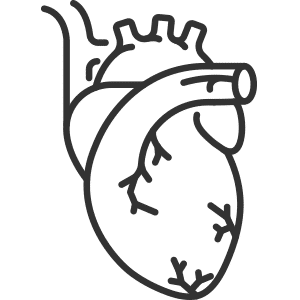 durchblutung-icon