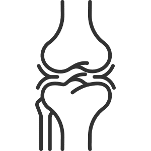 gelenke-icon