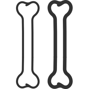 knochendichte-icon