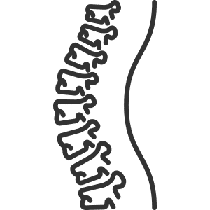 wirbelsaeule-icon
